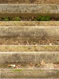 image of grave number 44701